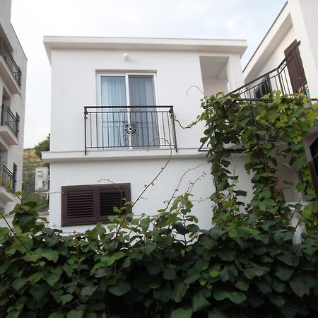 Guest House 4M Petrovac 객실 사진