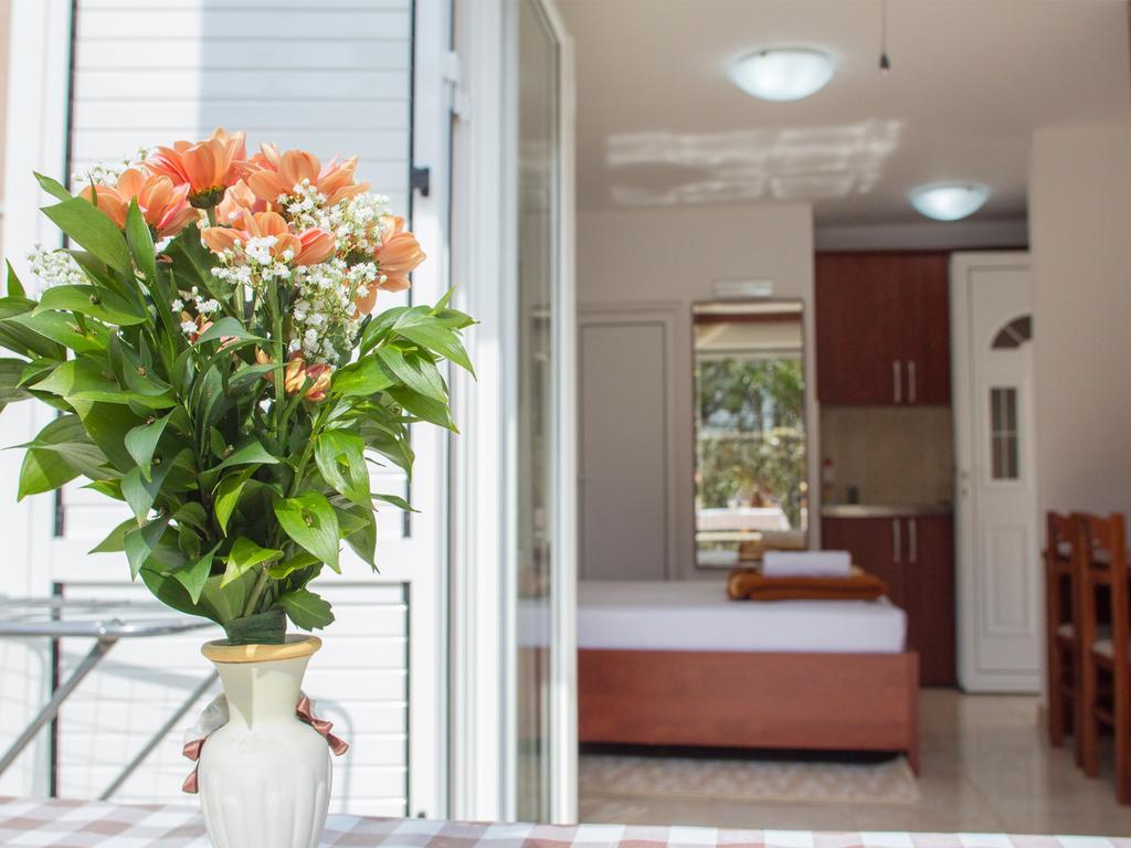 Guest House 4M Petrovac 객실 사진