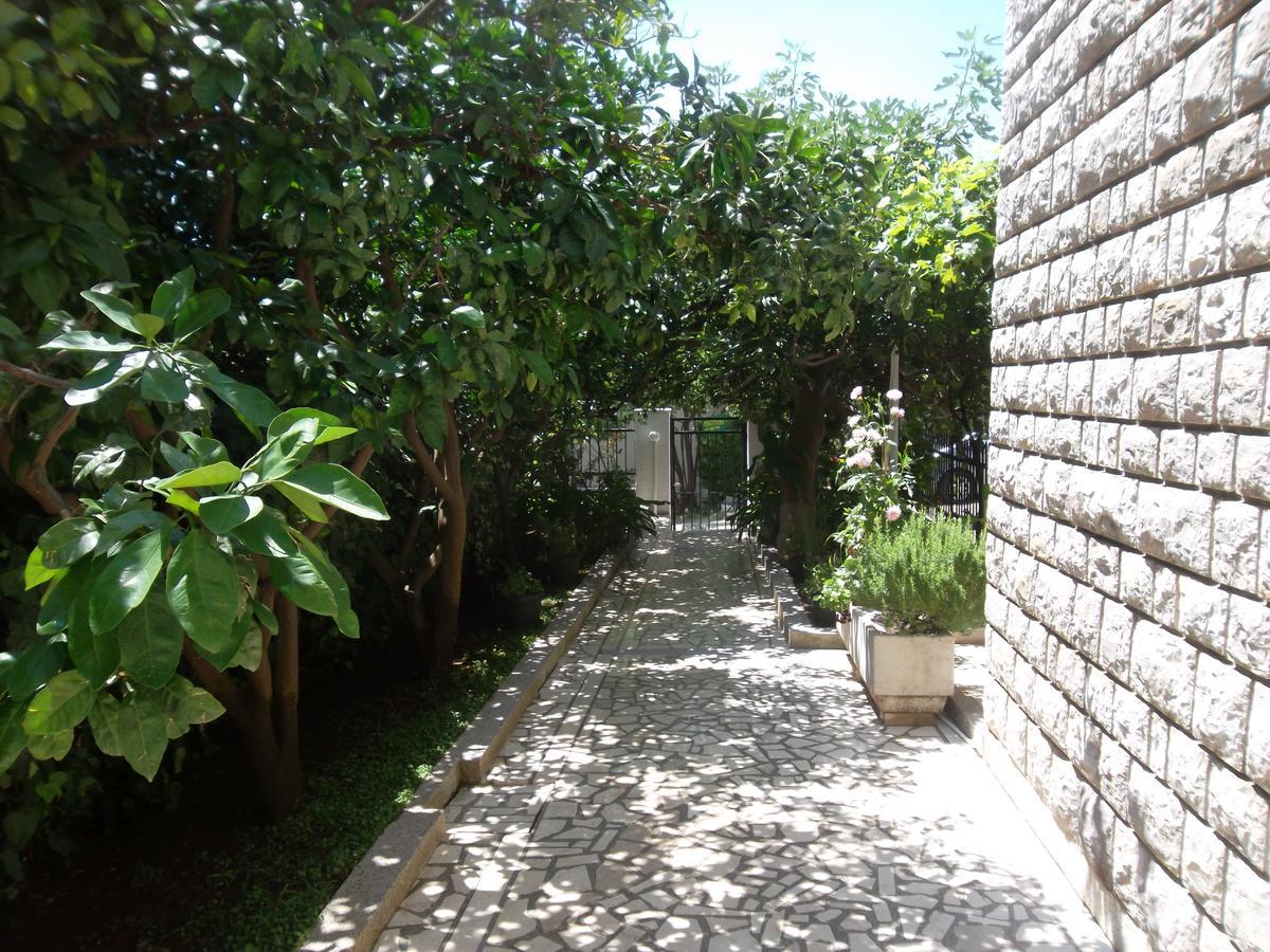 Guest House 4M Petrovac 외부 사진